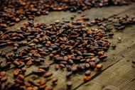 Cacao is good for male reproductive health. (Image via Unsplash/ Leonard Asuque)